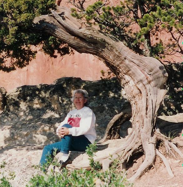 sandytreegg.jpg - Sandy sitting under a tree that we liked in the Garden Of The Gods Park at Colorado Springs.