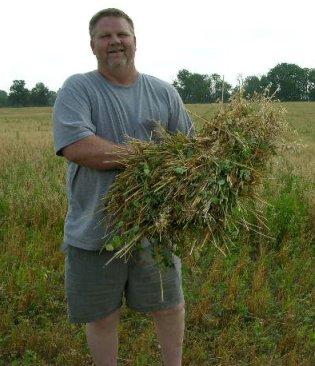 ronoatbundle.jpg - My Son-in-Law Ron Chlarson, holding a bundle of oats that had just been cut and bound.